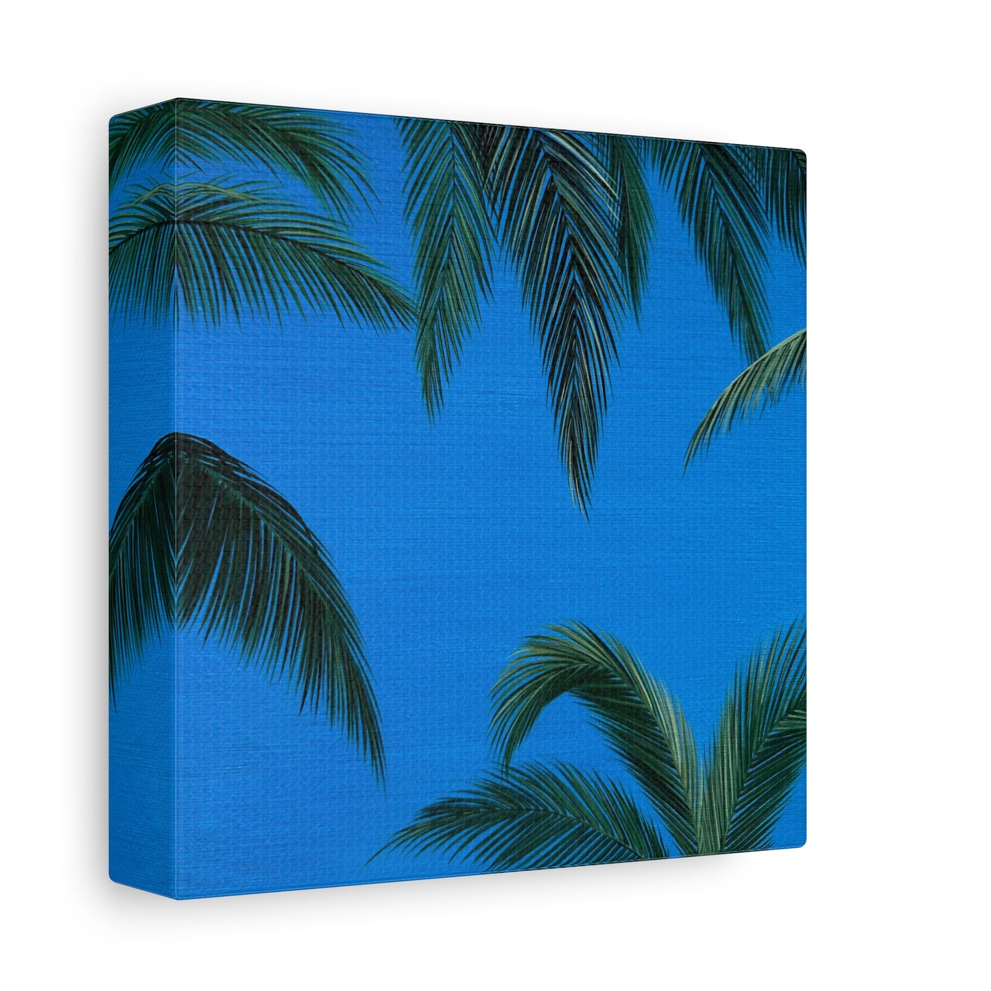 palm daydream - art print