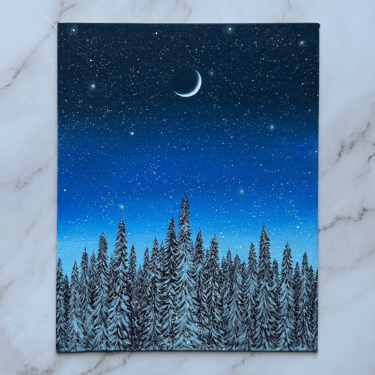 snowy blue forest night