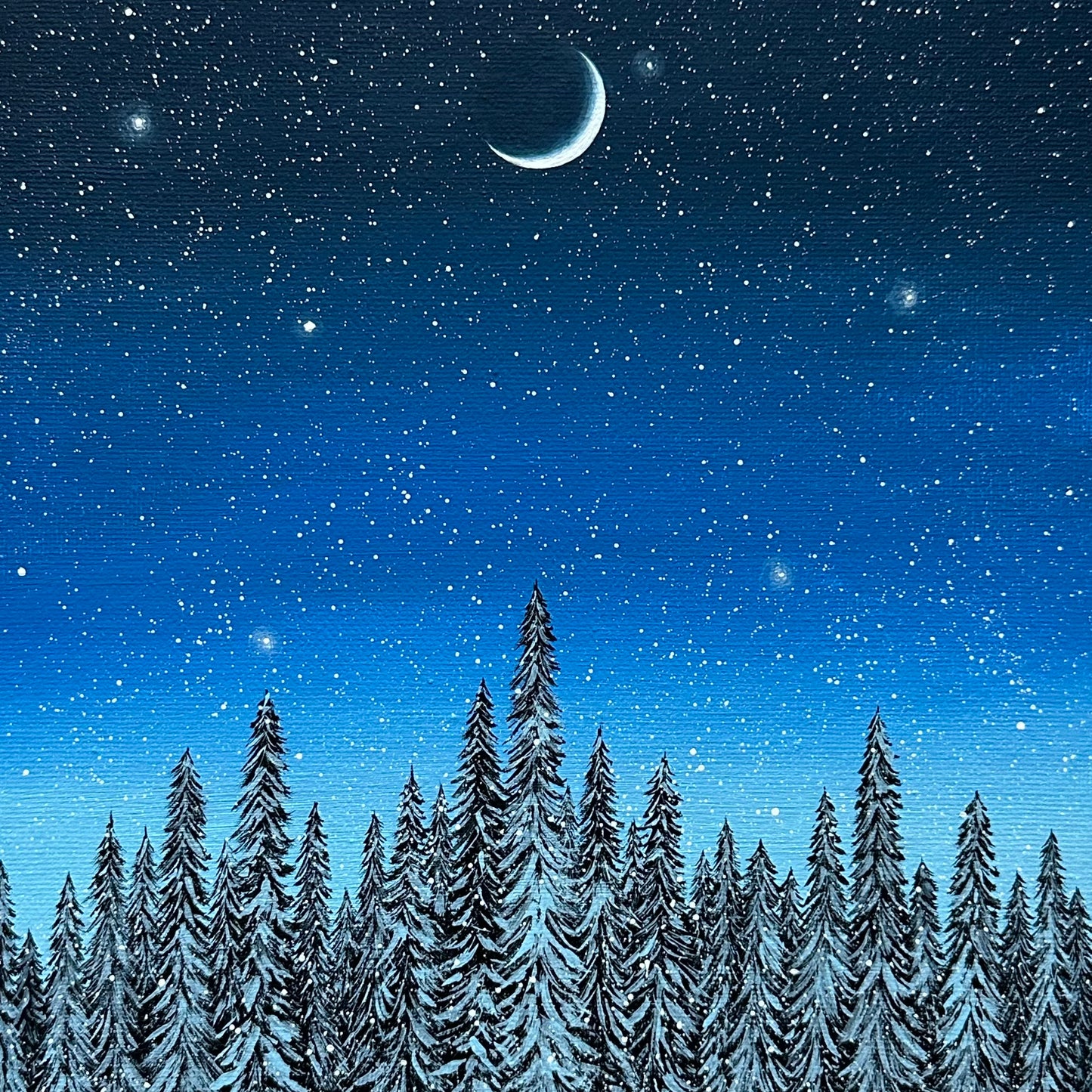 snowy blue forest night