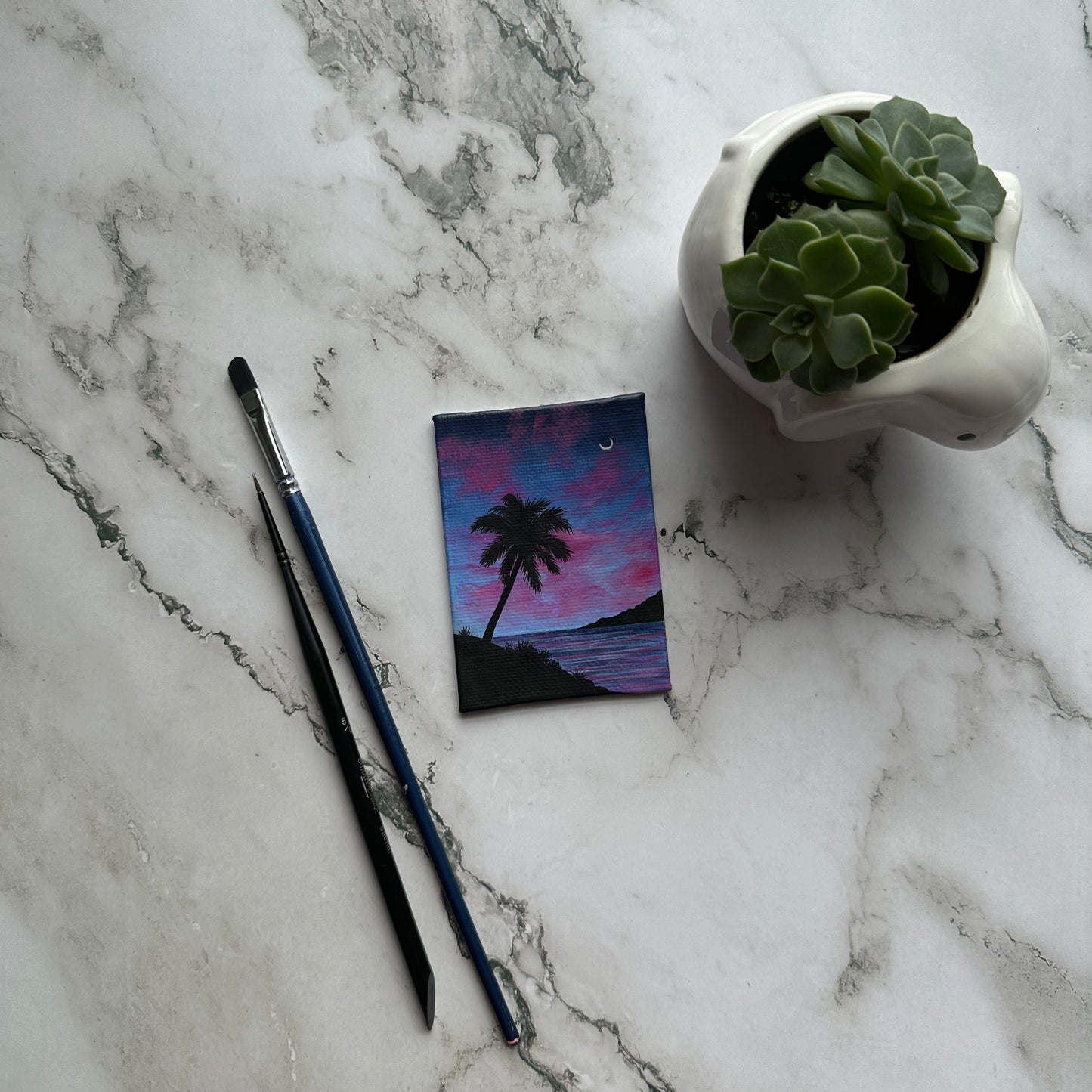 mini palm tree at the beach