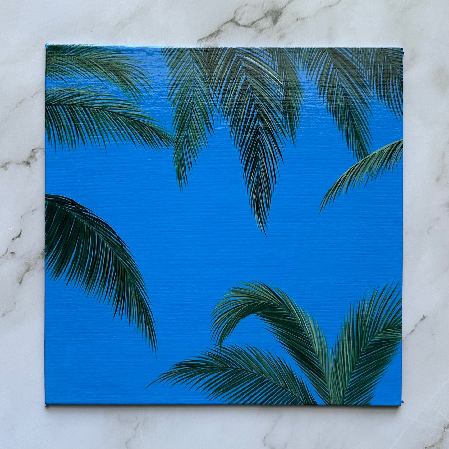 palm daydream