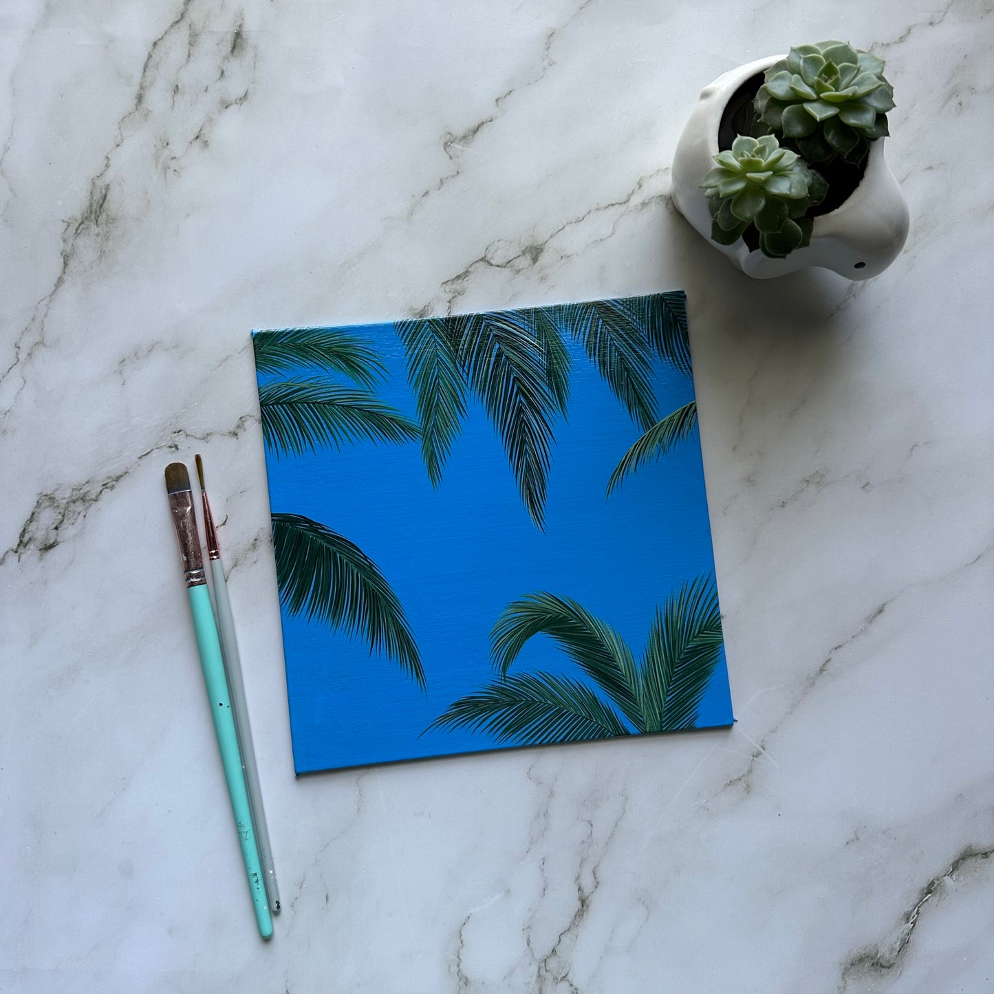 palm daydream