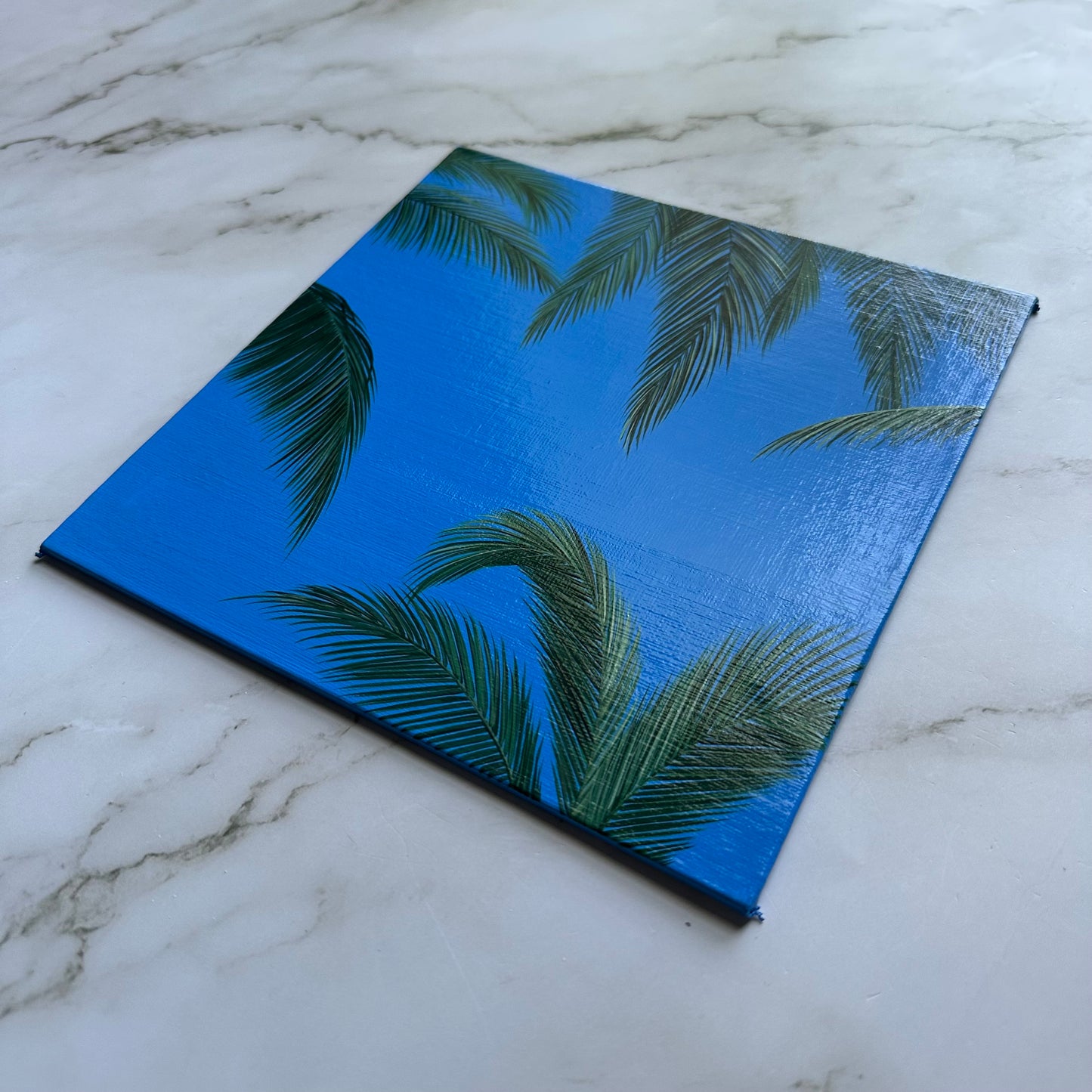 palm daydream