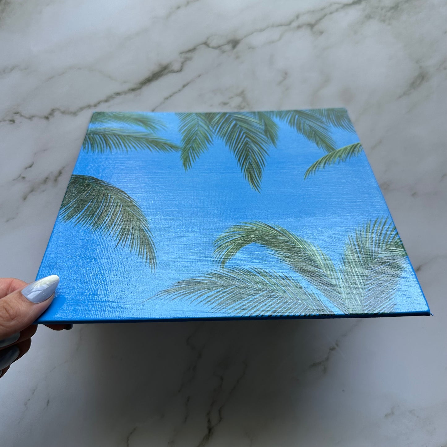 palm daydream