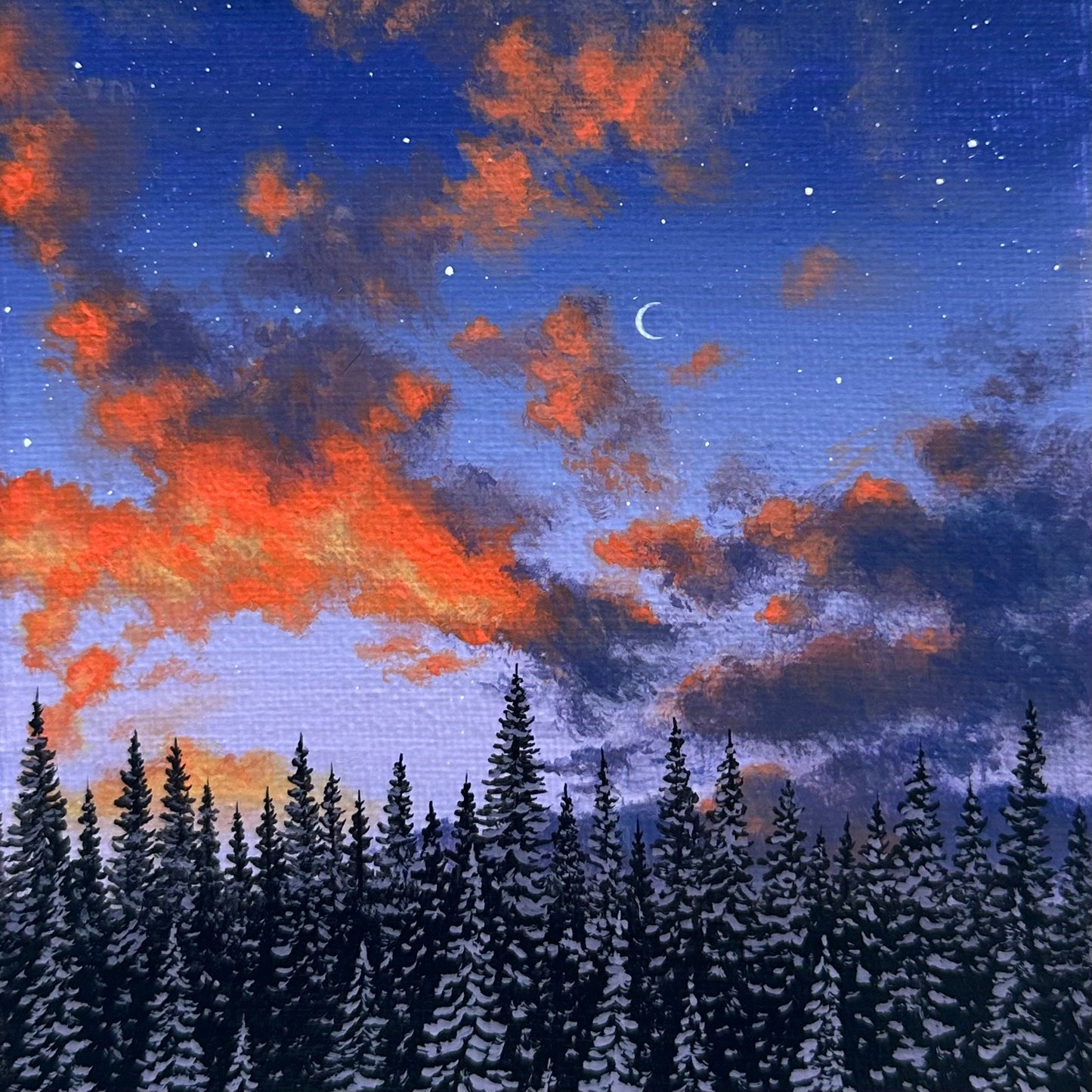 winter’s twilight (custom painting)