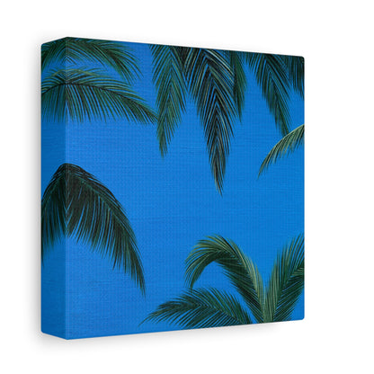 palm daydream - art print