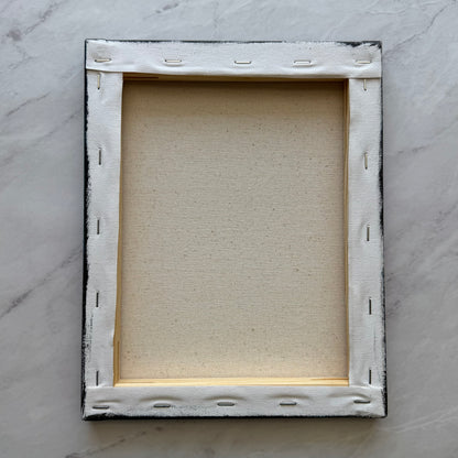 calm tides of moonlight