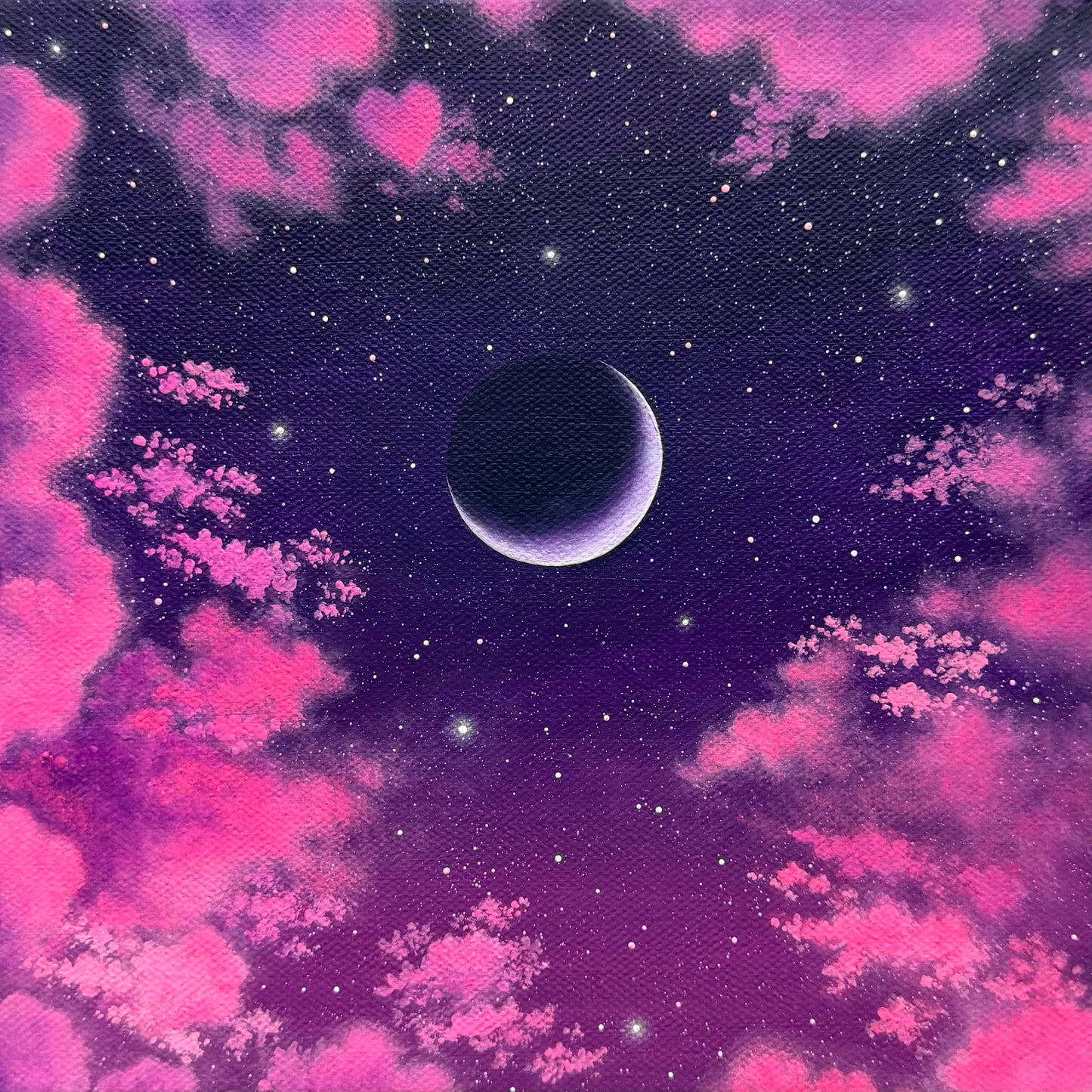 cotton candy cosmos
