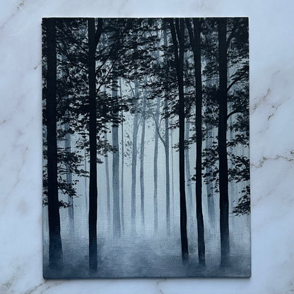 misty woods