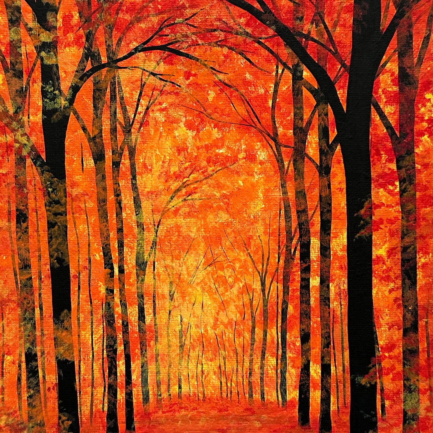 vibrant fall forest