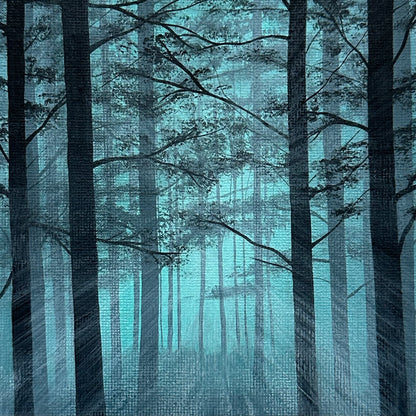 moody forest