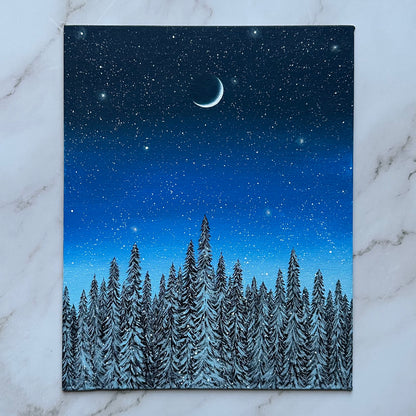 snowy blue forest night