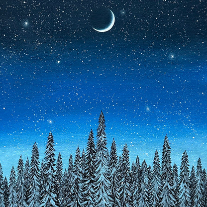 snowy blue forest night