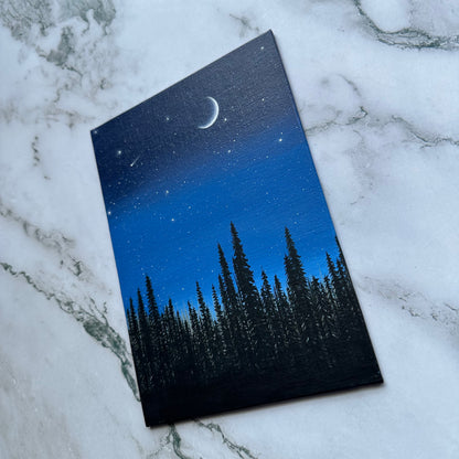 blue forest night