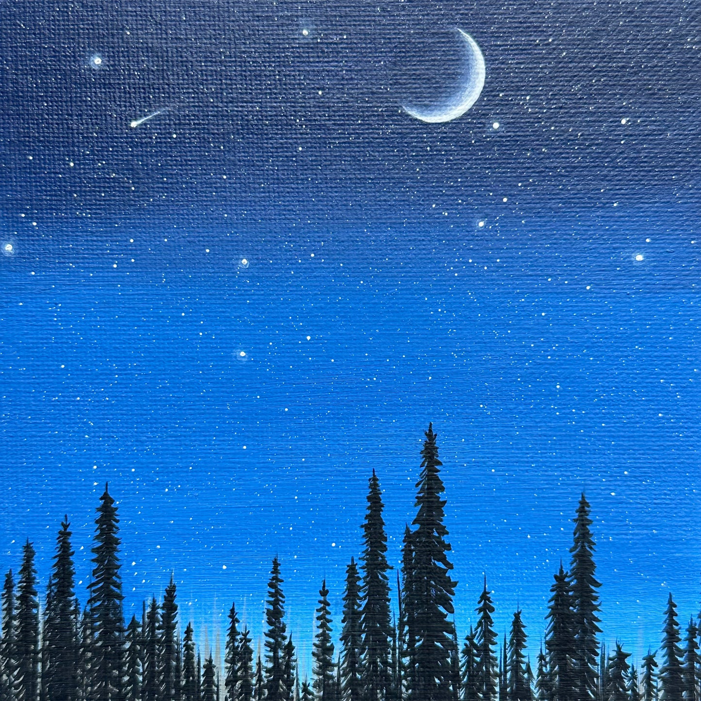 blue forest night