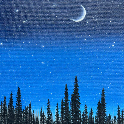 blue forest night