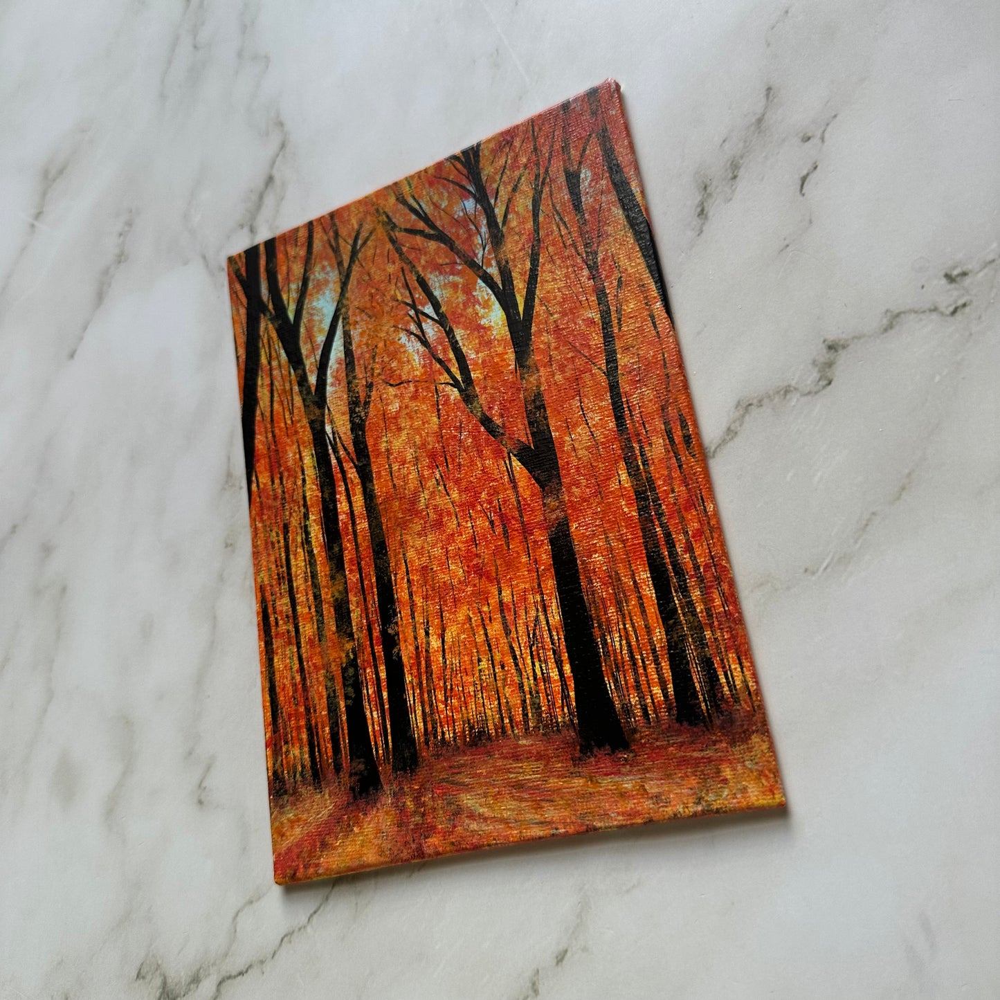 aesthetic fall forest