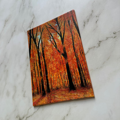 aesthetic fall forest