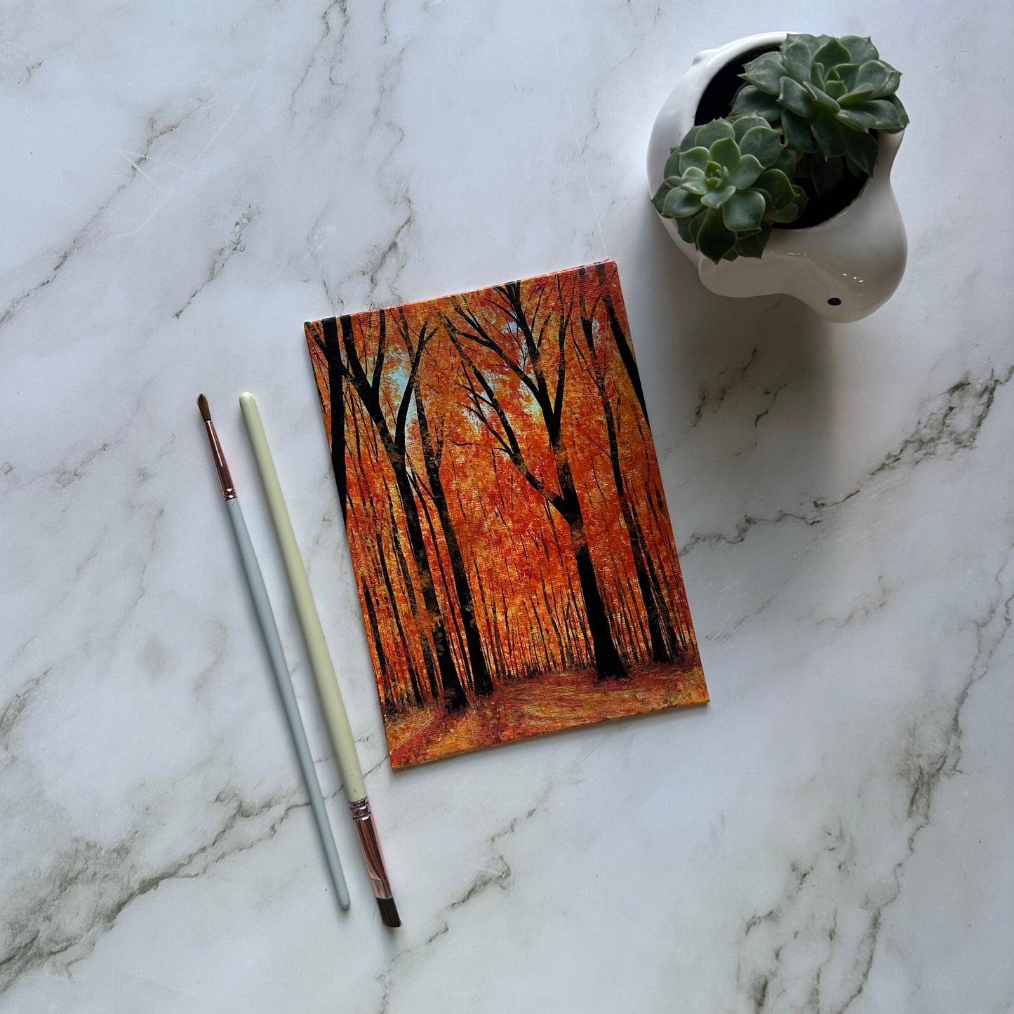 aesthetic fall forest