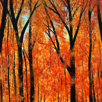 aesthetic fall forest