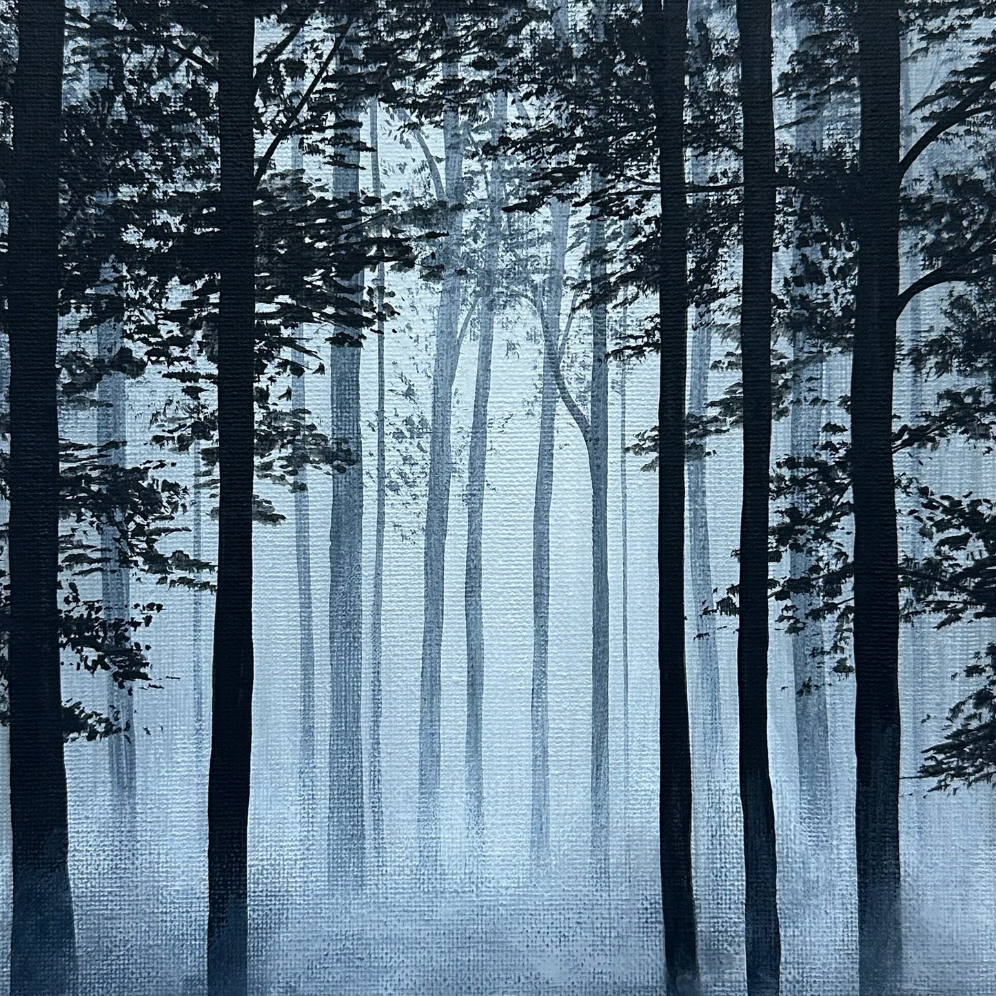 misty woods