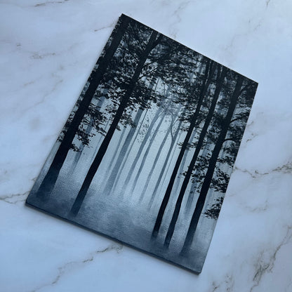 misty woods