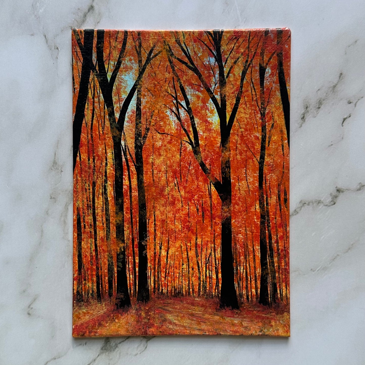 aesthetic fall forest