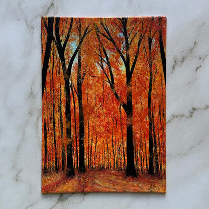 aesthetic fall forest