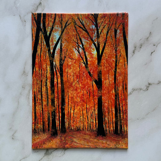 aesthetic fall forest