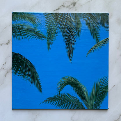 palm daydream