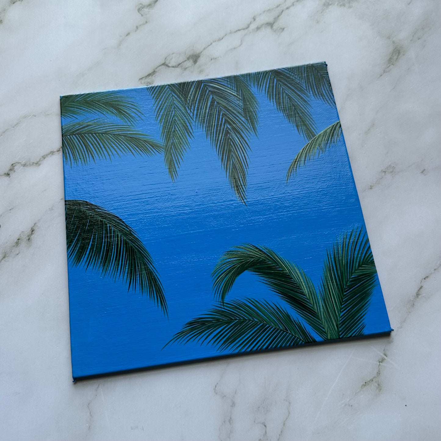 palm daydream