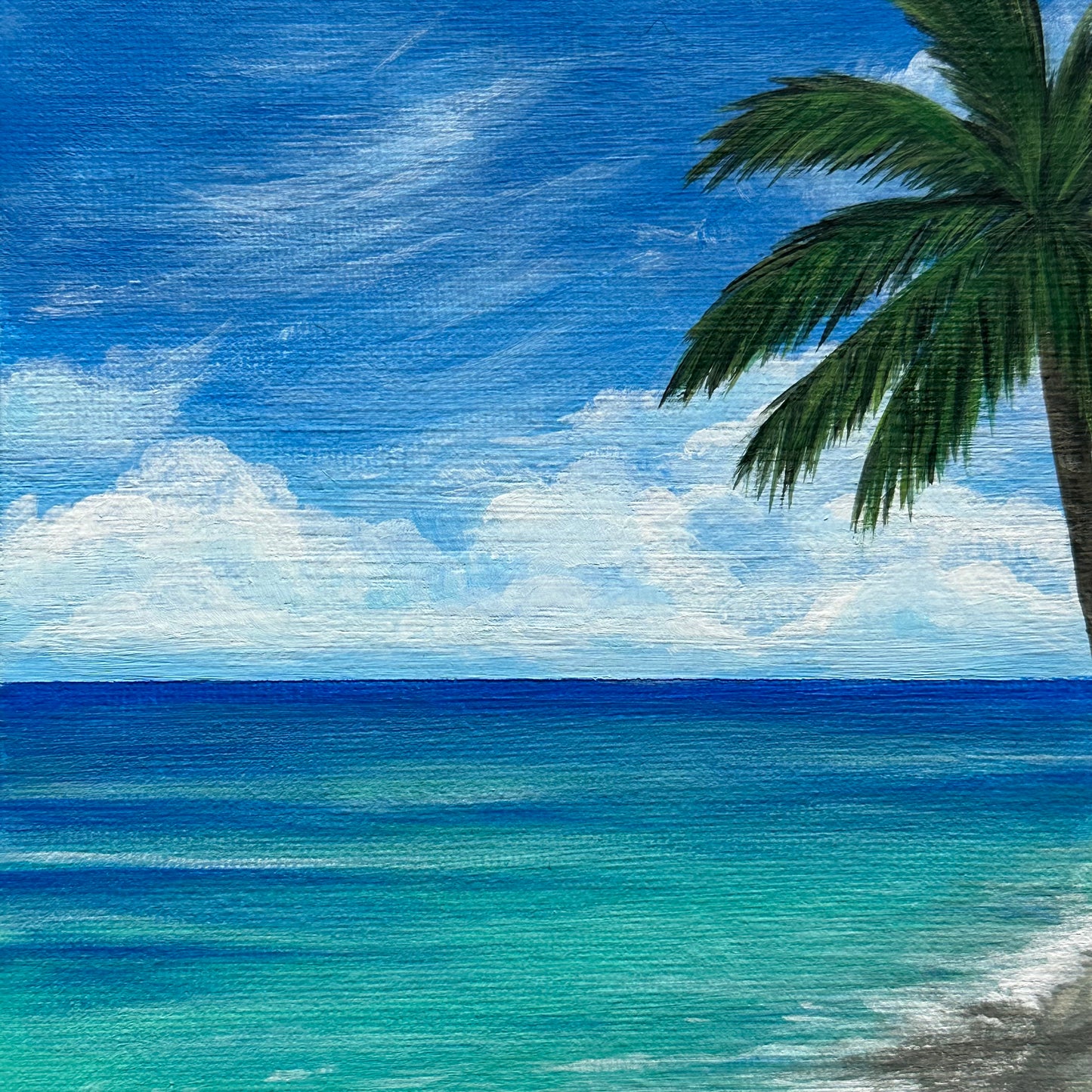 tropical beach