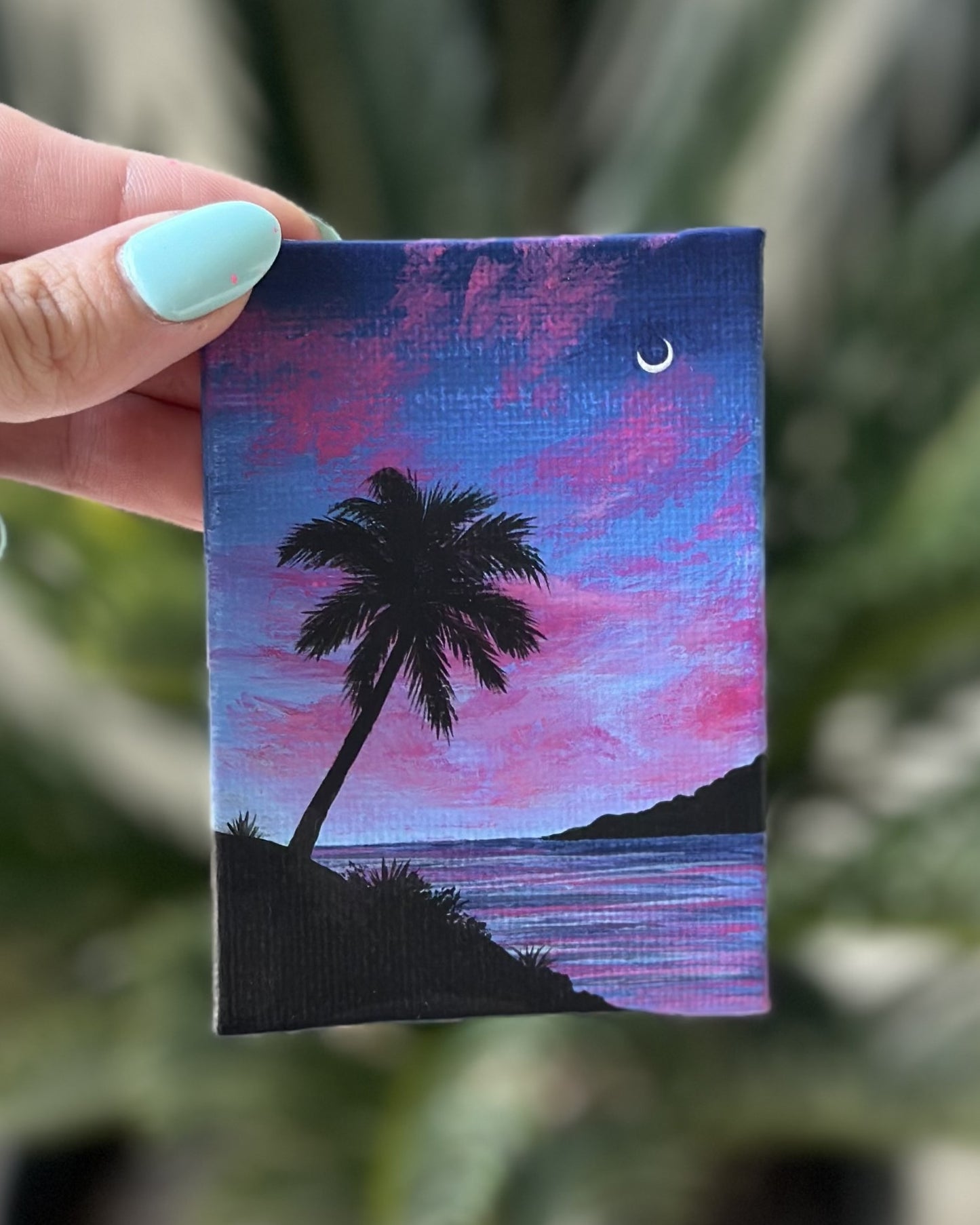 mini palm tree at the beach