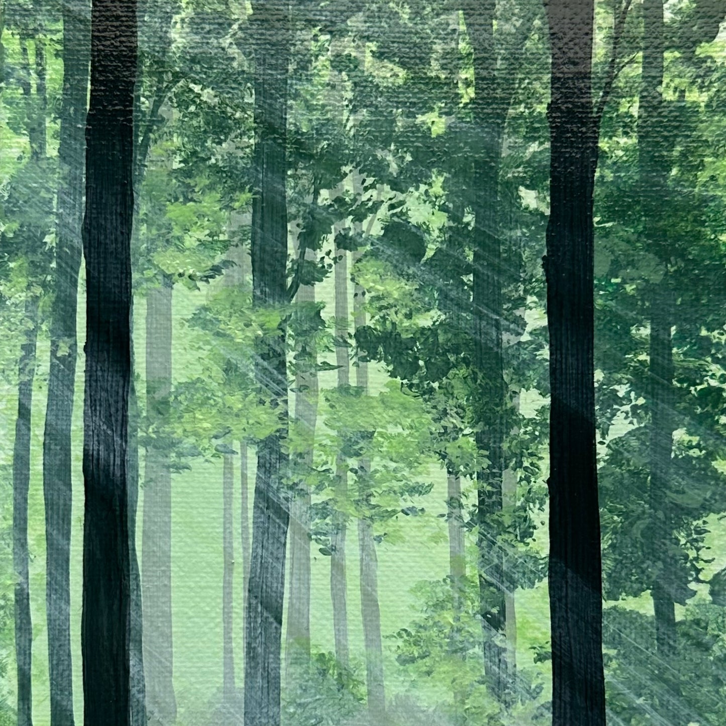 breath of the forest