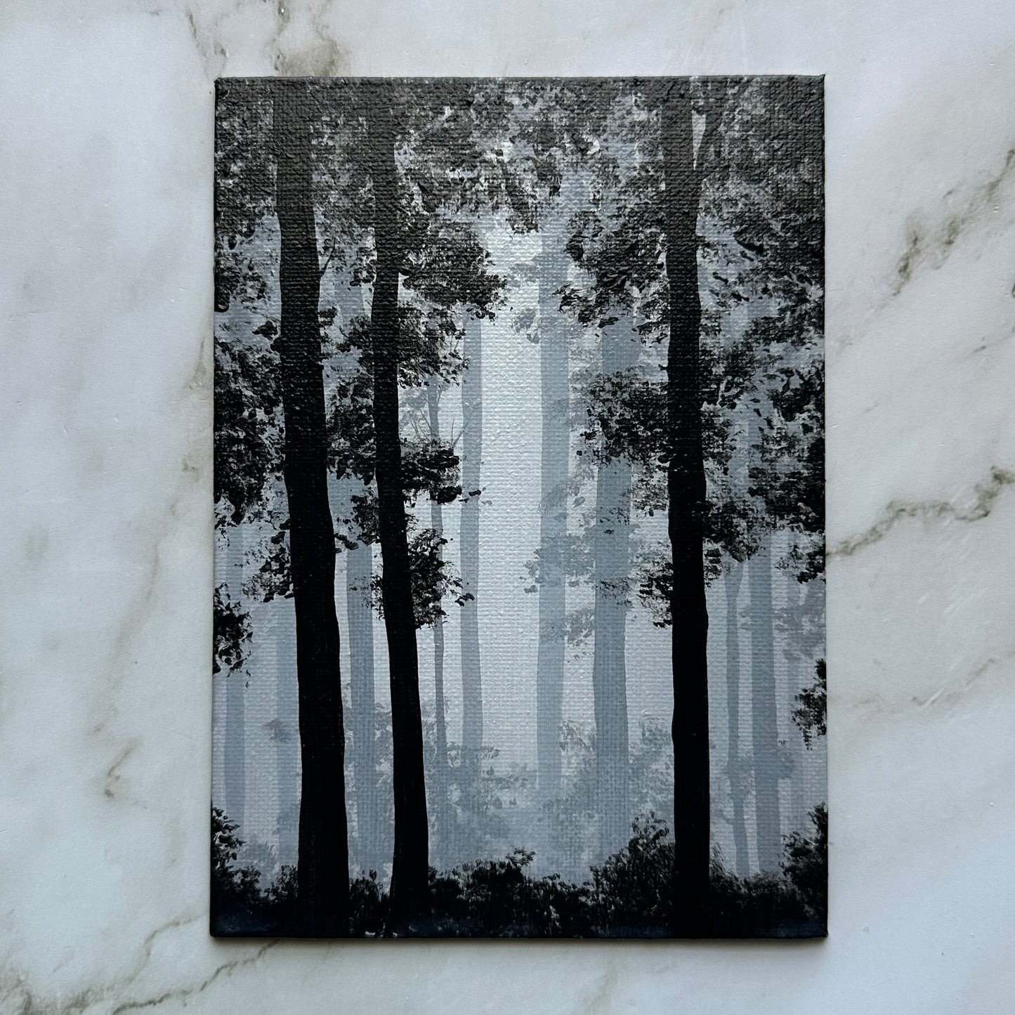 misty woods