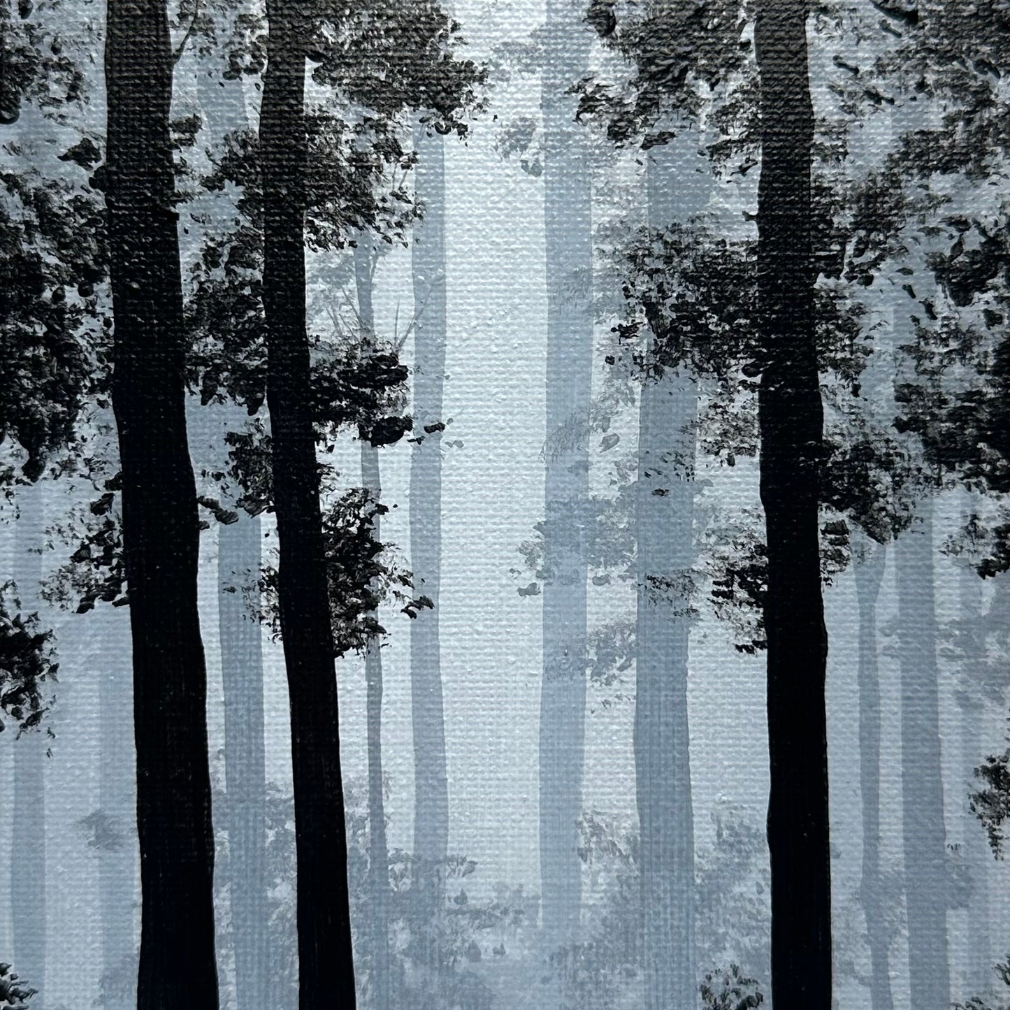 misty woods