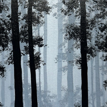 misty woods