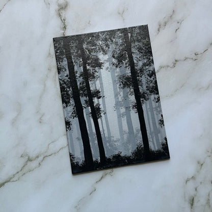 misty woods