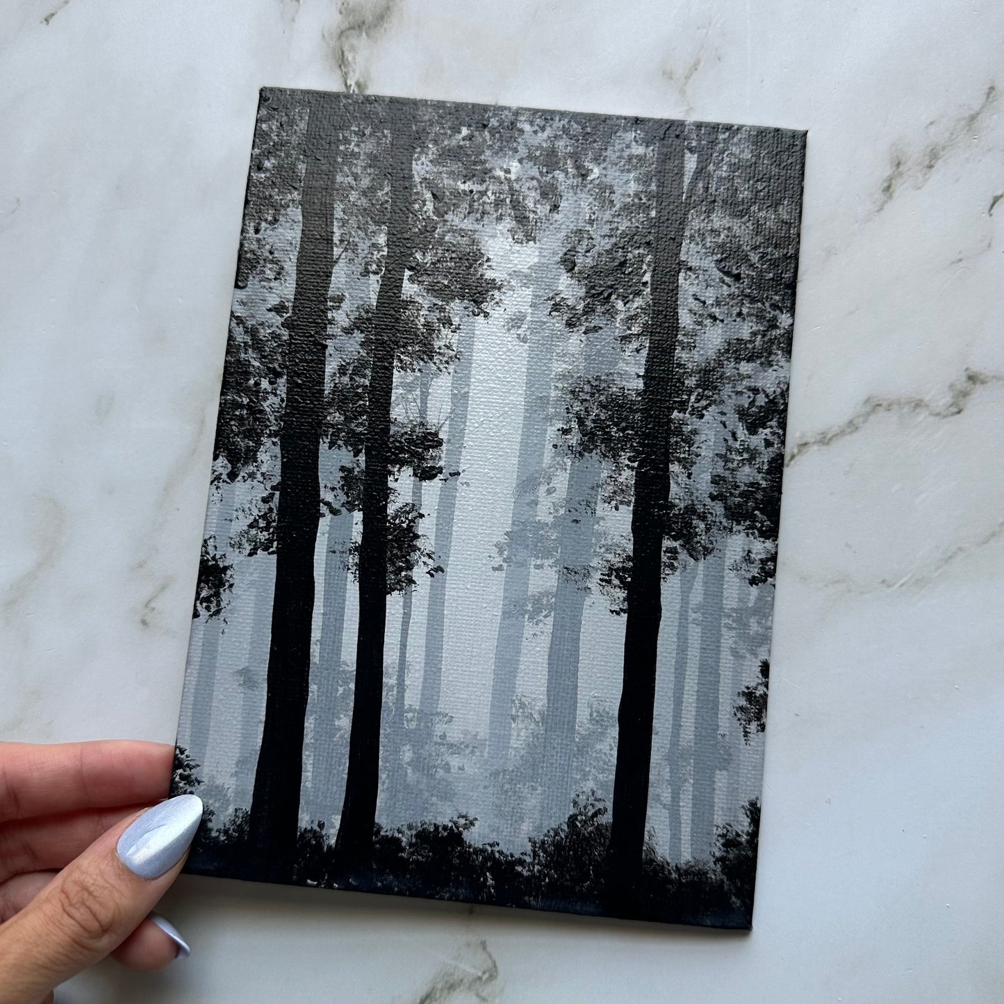 misty woods